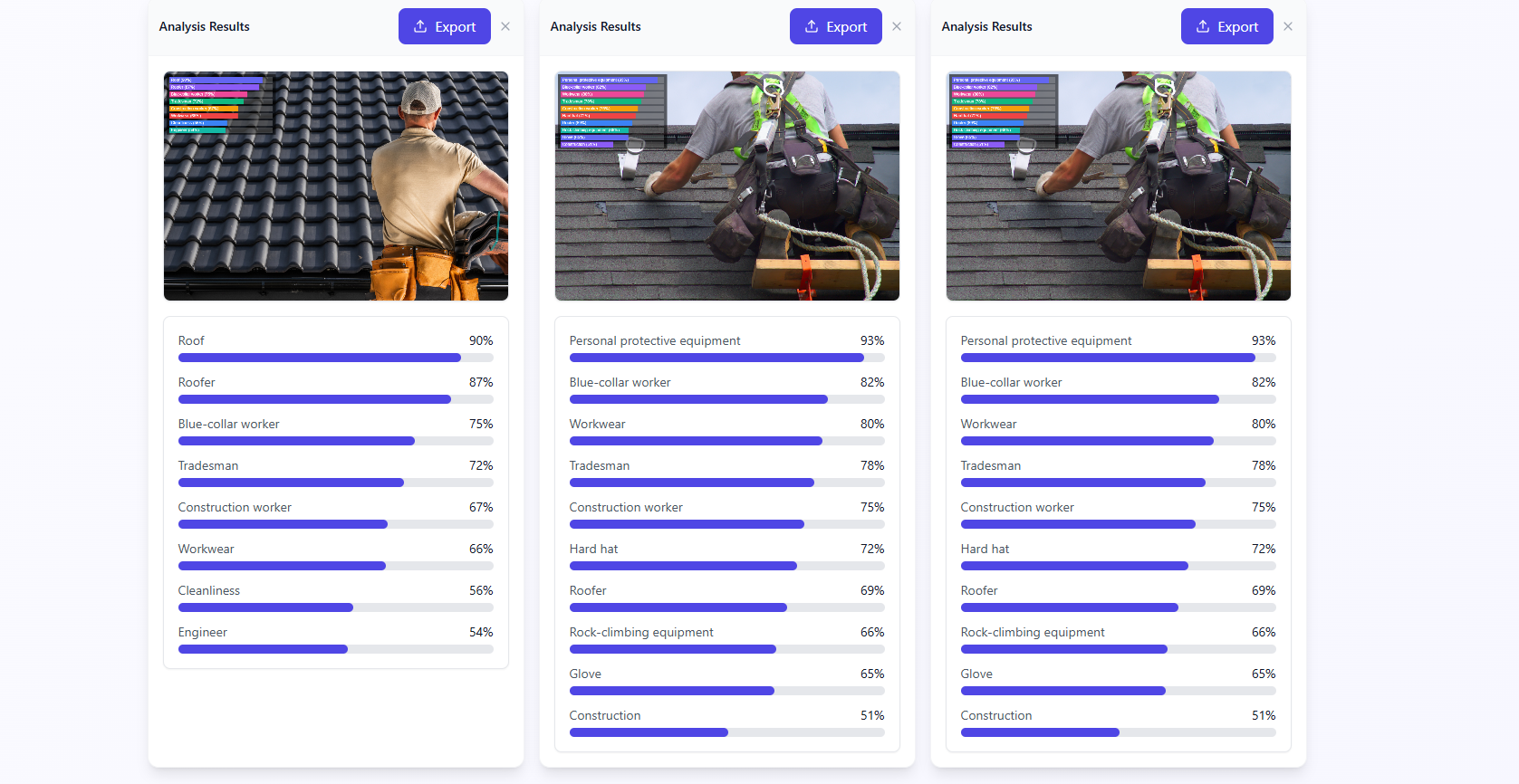 Image Labels Raw